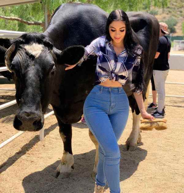 Rough Sex: 50 Mild BDSM Play